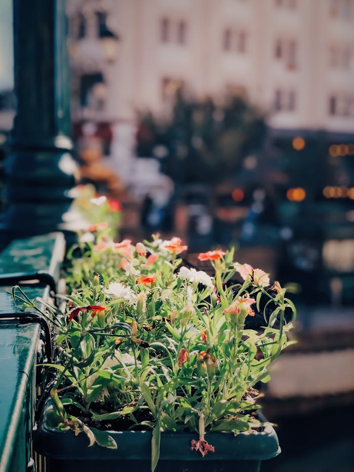 Vibrant flowers bloom in a planter on a city balcony, creating an urban oasis.